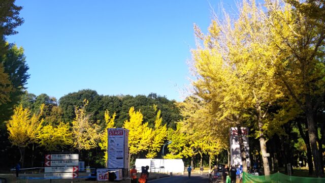 つくばマラソンスタート地点