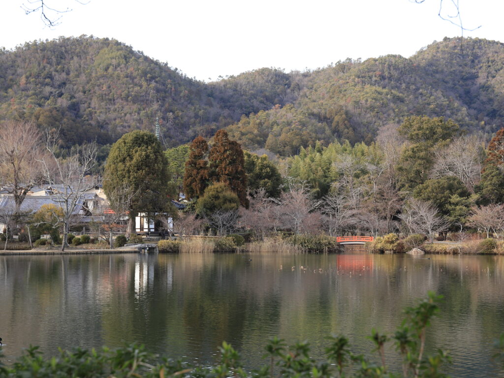 大沢池