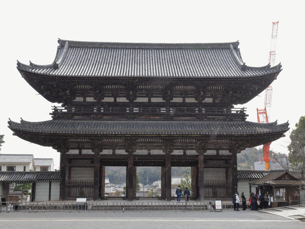 大粒の雨