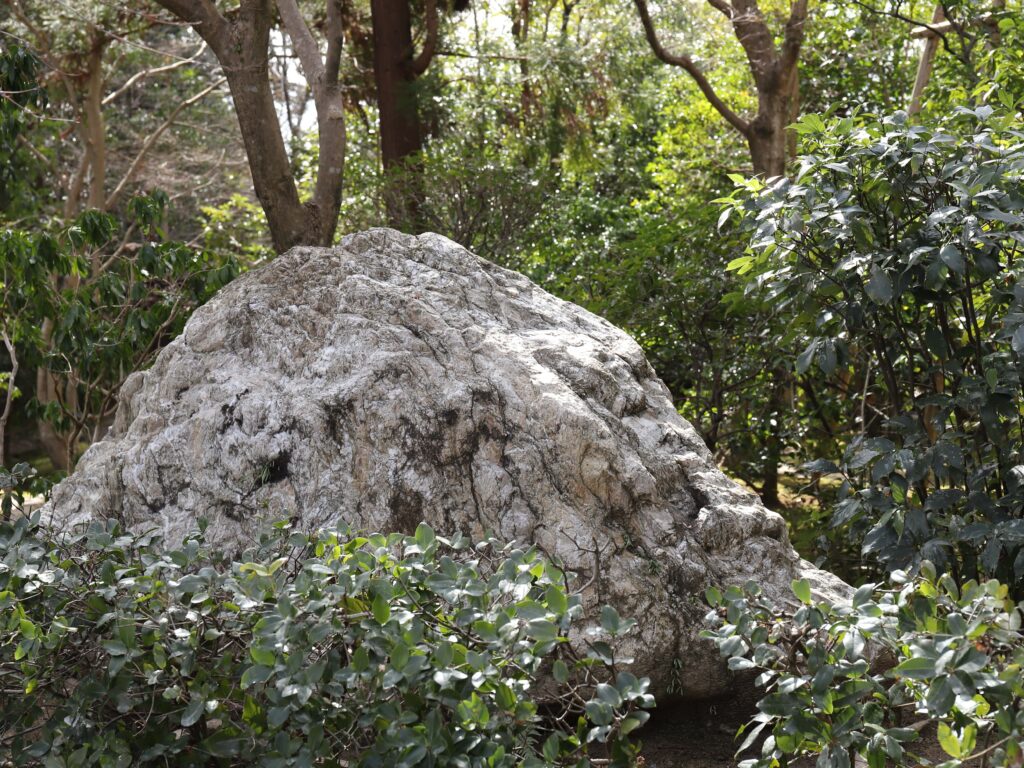 龍安寺の石2