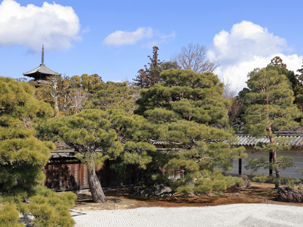 南側の庭園