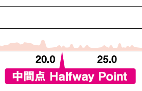 コース高低図（拡大）