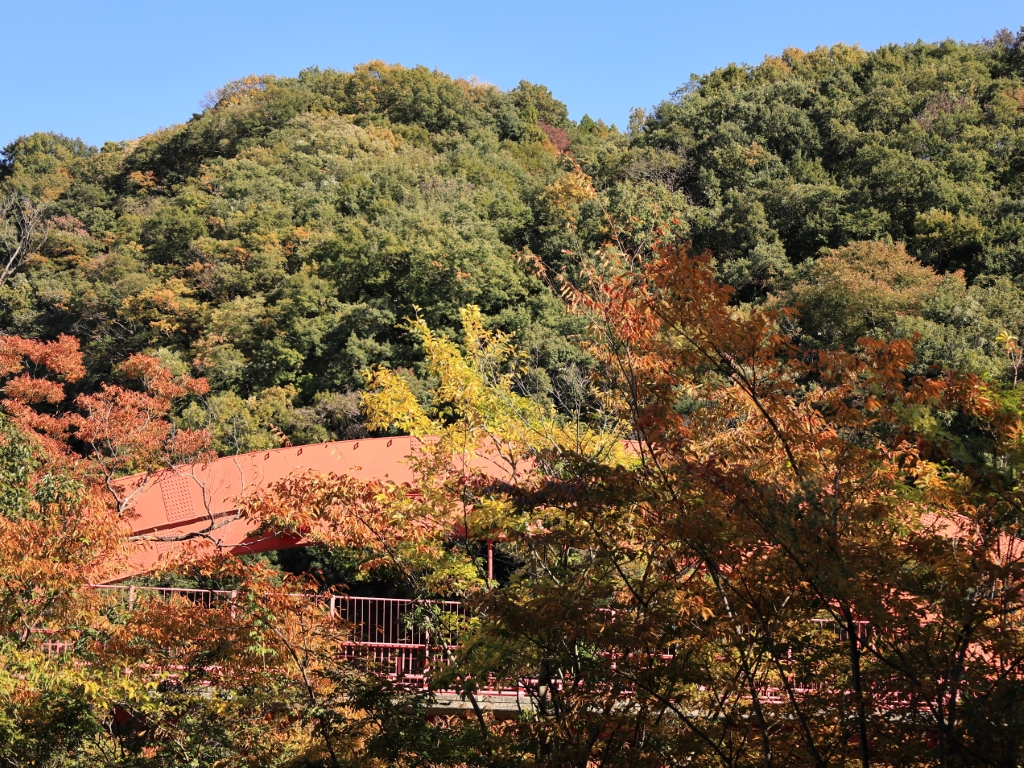 赤い橋が見えてきた