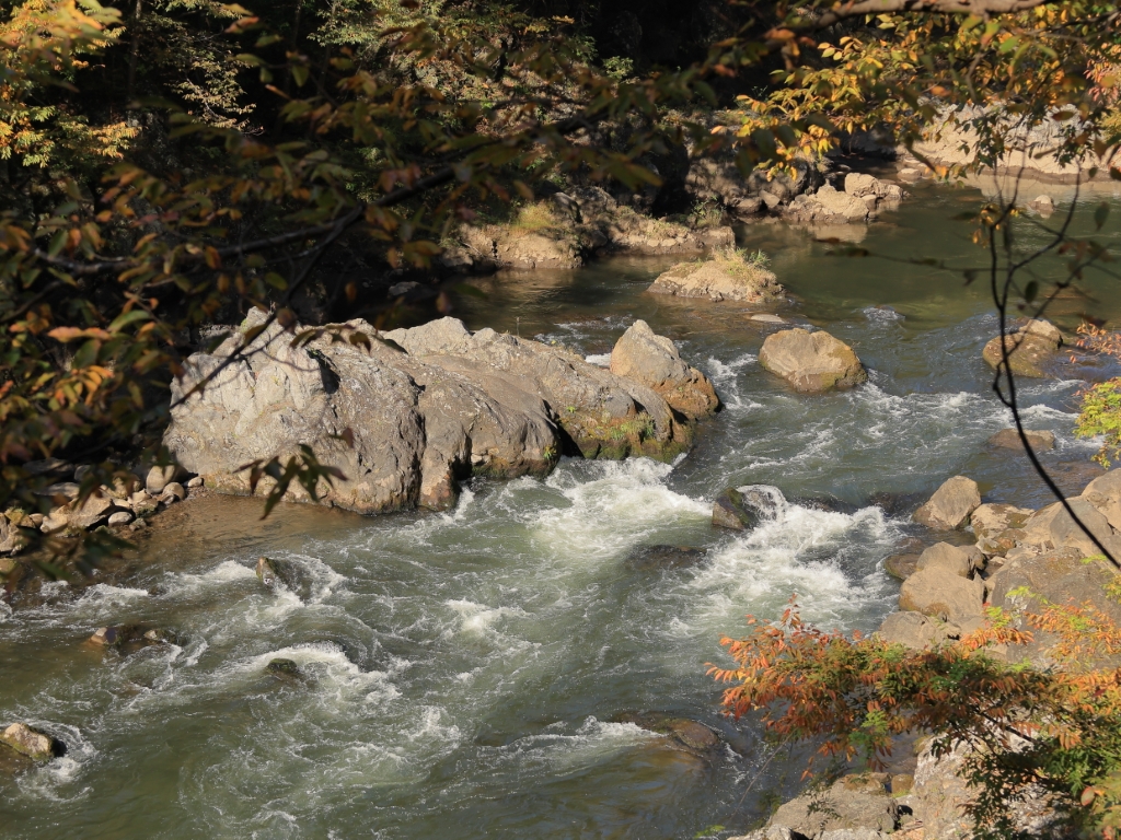 高津戸峡遊歩道からの眺め