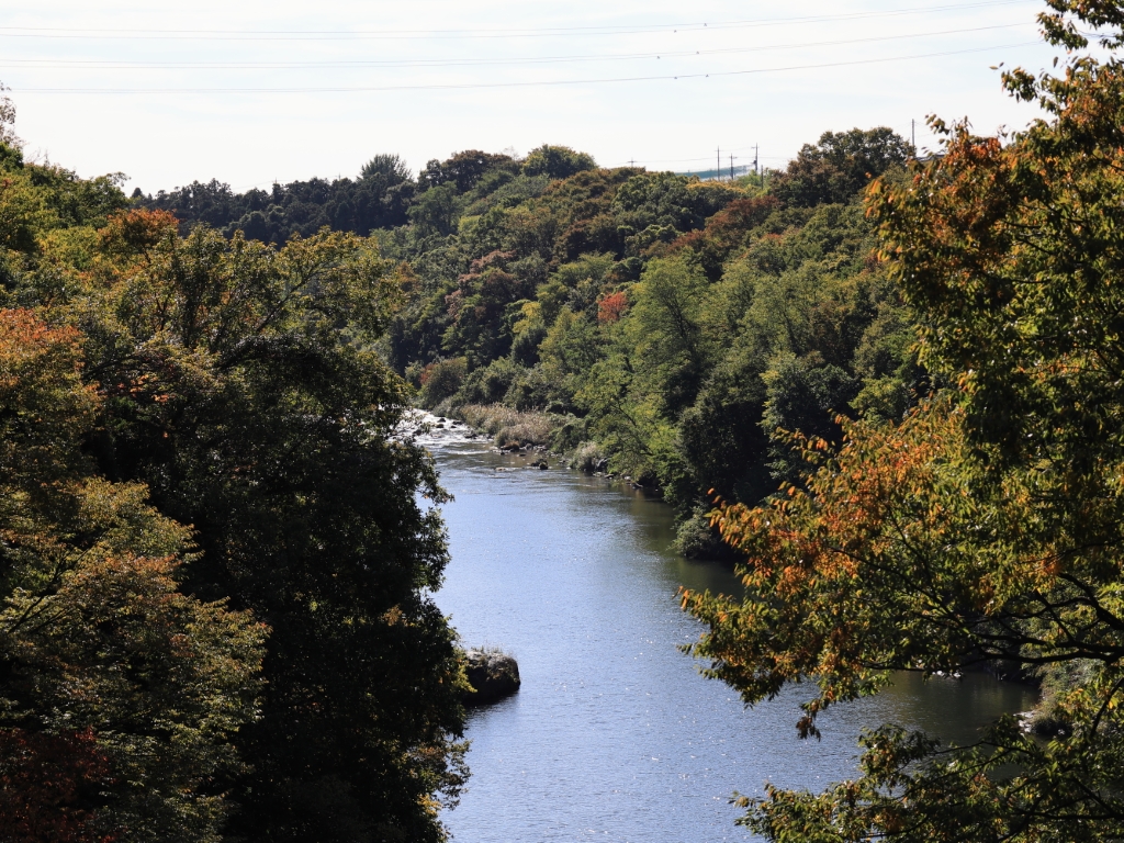 高津戸橋から渡良瀬川を覗く